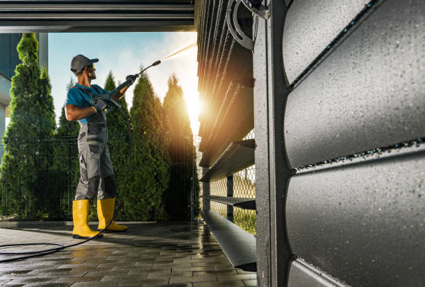 Best Roof Pressure Washing  in Crested Butte, CO