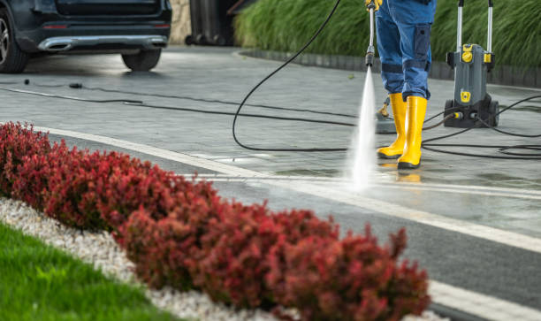 Best Affordable Power Washing  in Crested Butte, CO