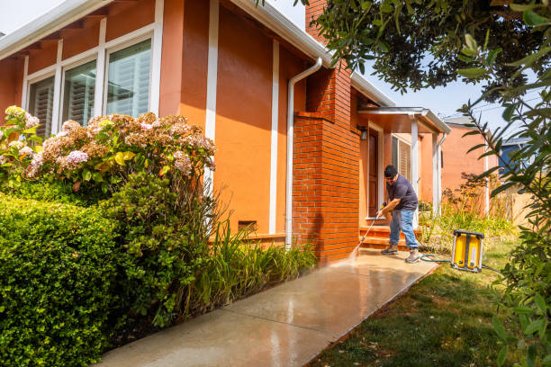 Best Exterior Home Cleaning  in Crested Butte, CO